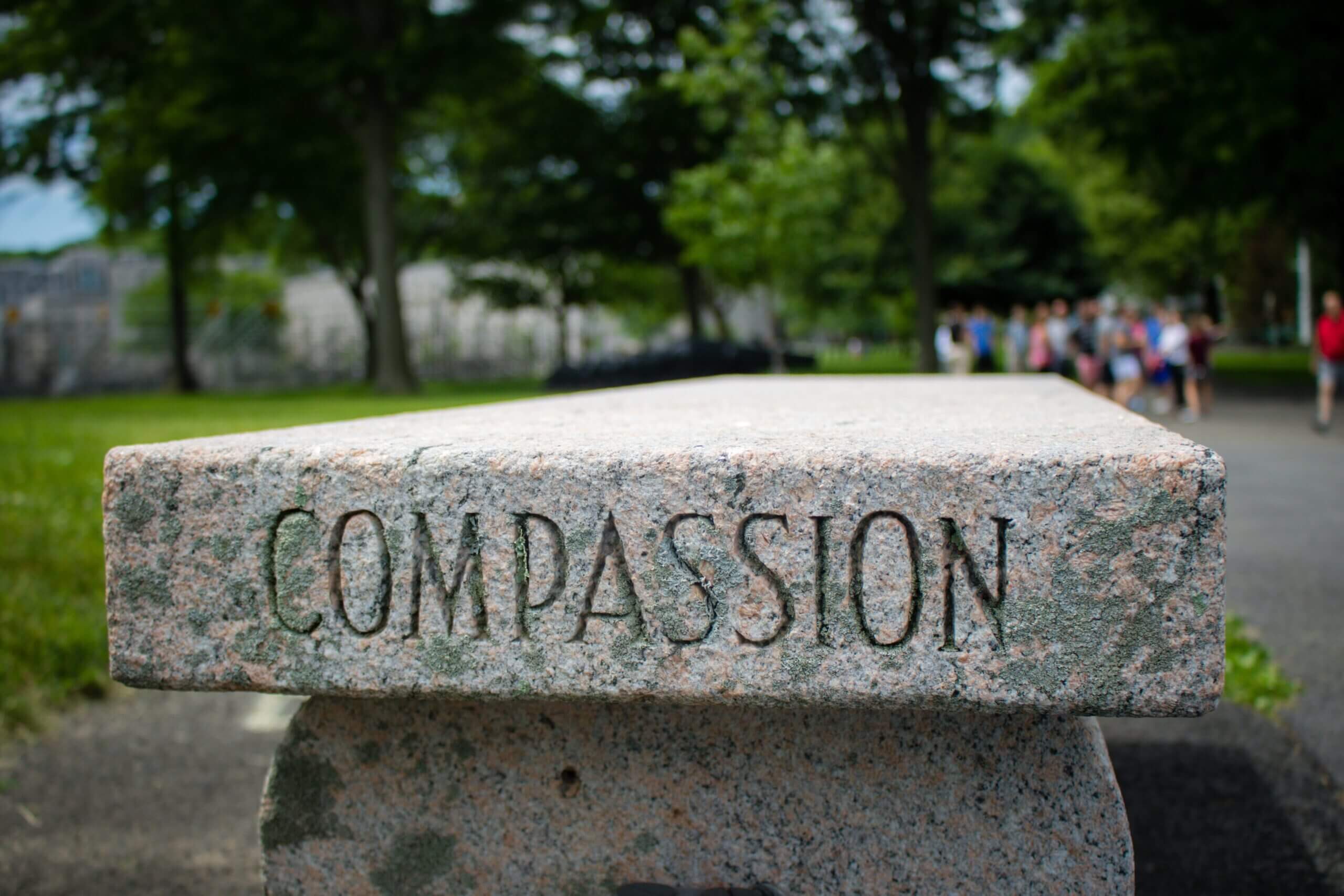 Lessons Learned as a Human Being and Small Business Owner: Equanimity and Compassion are Key